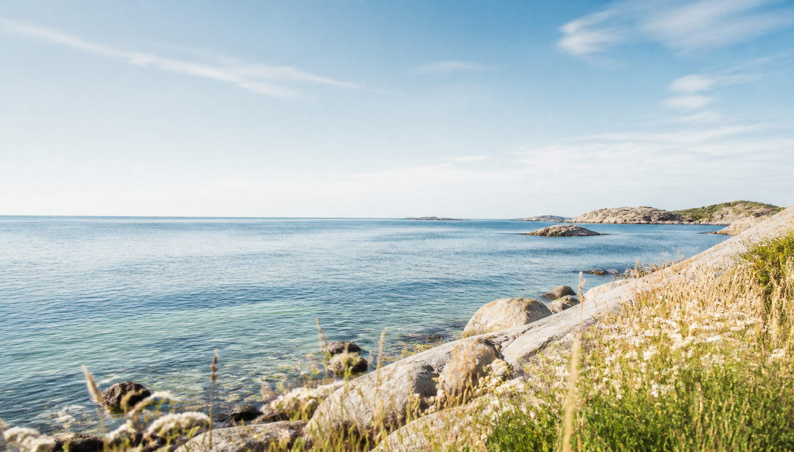 Ljus svensk kust med hav, klippor och sommargrönska